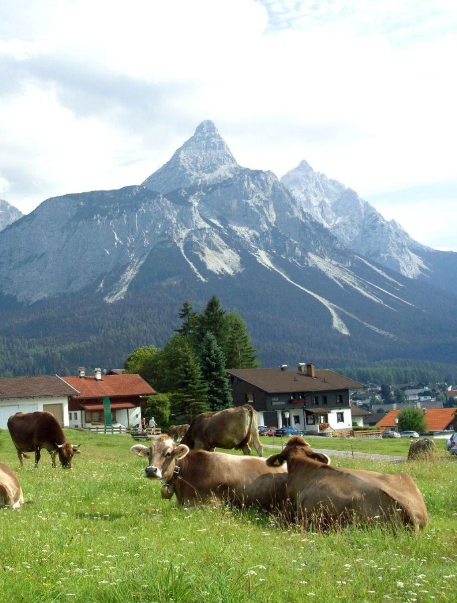 Apartmán Haus Spielmann Ehrwald Exteriér fotografie